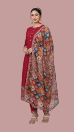 aafreen rani anarkali